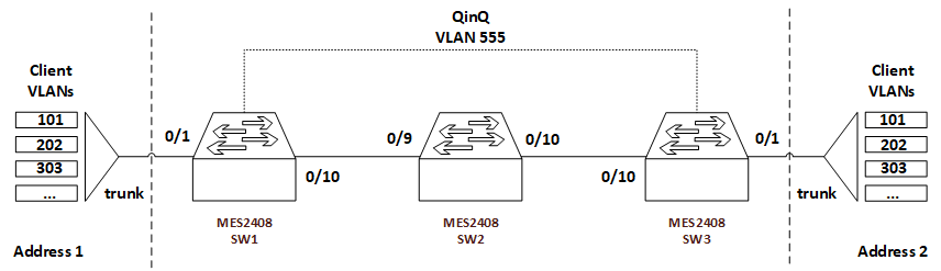 qinq_schem.png